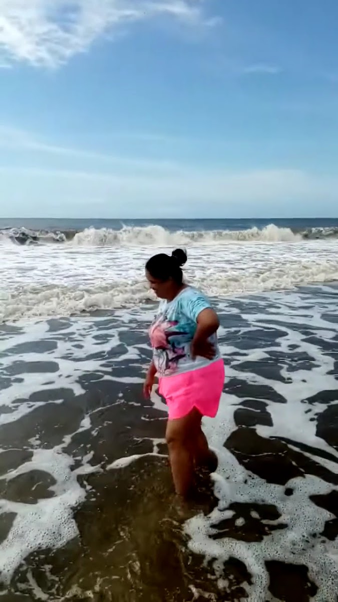 Mercadinho Do Vizinho