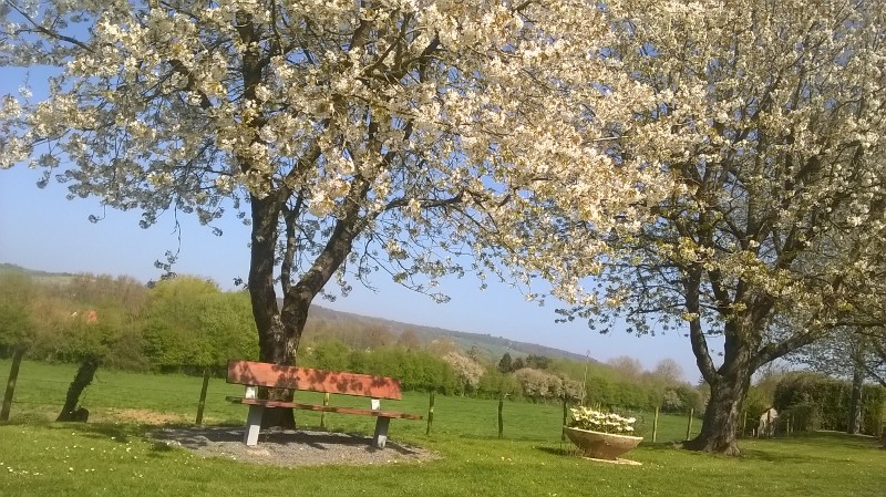 Les Tilleuls Café Tabac Pmu Presse