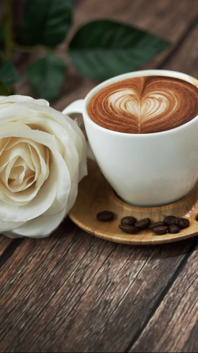 Cafe Milanocuba Son Tinh - 2