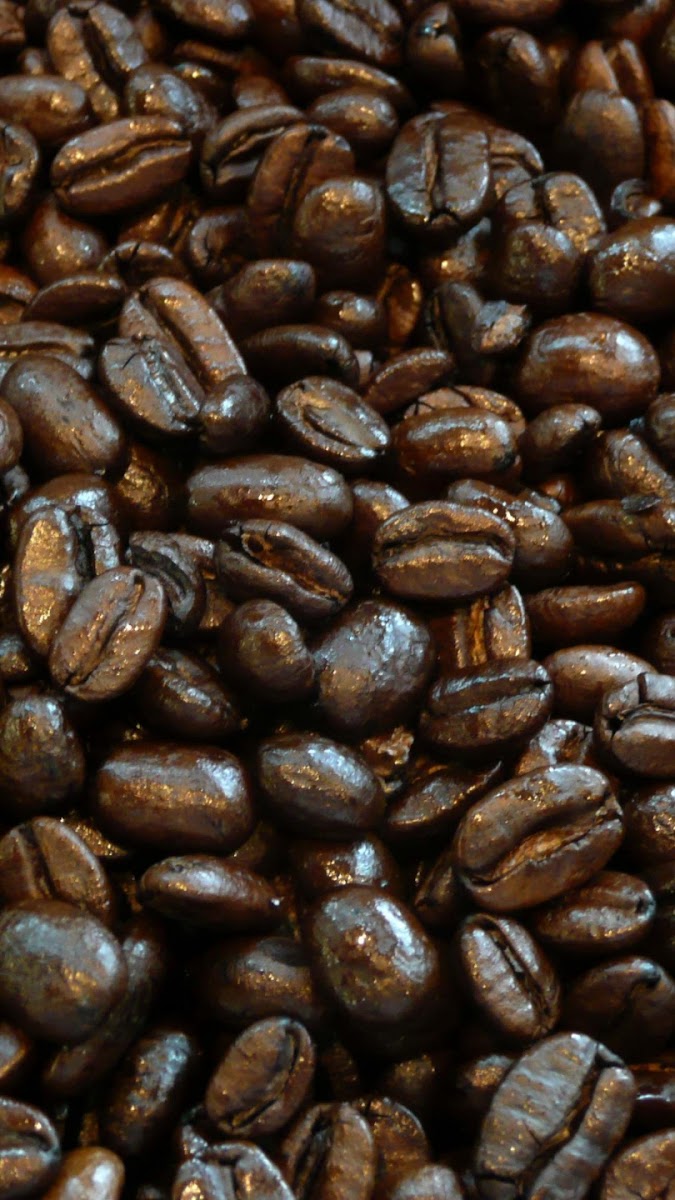 Cafe Milanocuba Son Tinh - 4