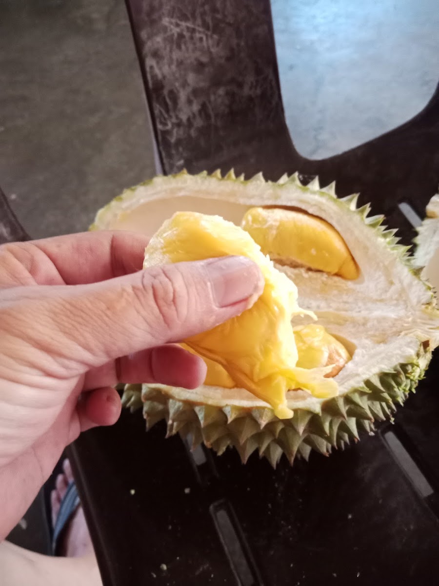 Kedai Kopi Tong Kam Loi 金業茶室 - 6