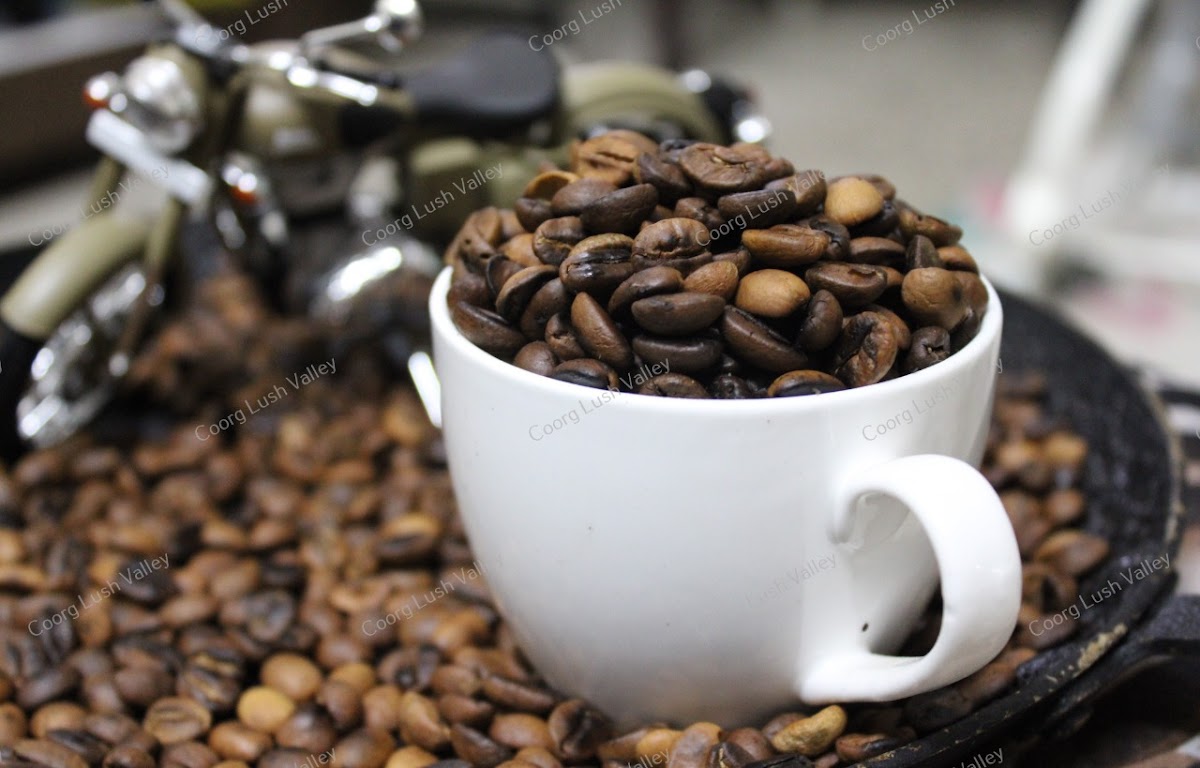 The coffeesthan jaipur - 9