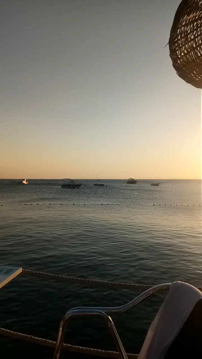 Bluemoon Cafe Beach - 2