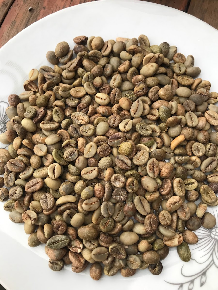 Đẳng Coffee - Đẳng Rang Cà - 4