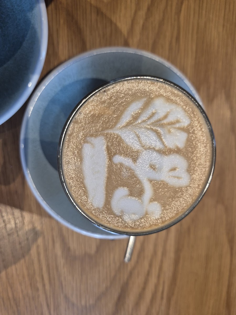 The Hideout Specialty Coffee on Adelaide - 10