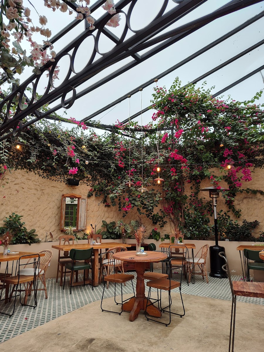 Gairdín - Café e Chá no Jardim - São Paulo - 3