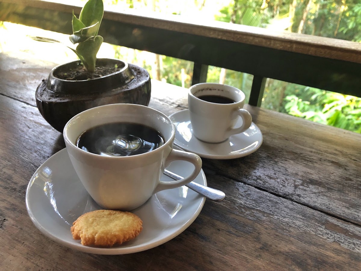 Luwak Coffee Agro Alas Harum Bali - 3