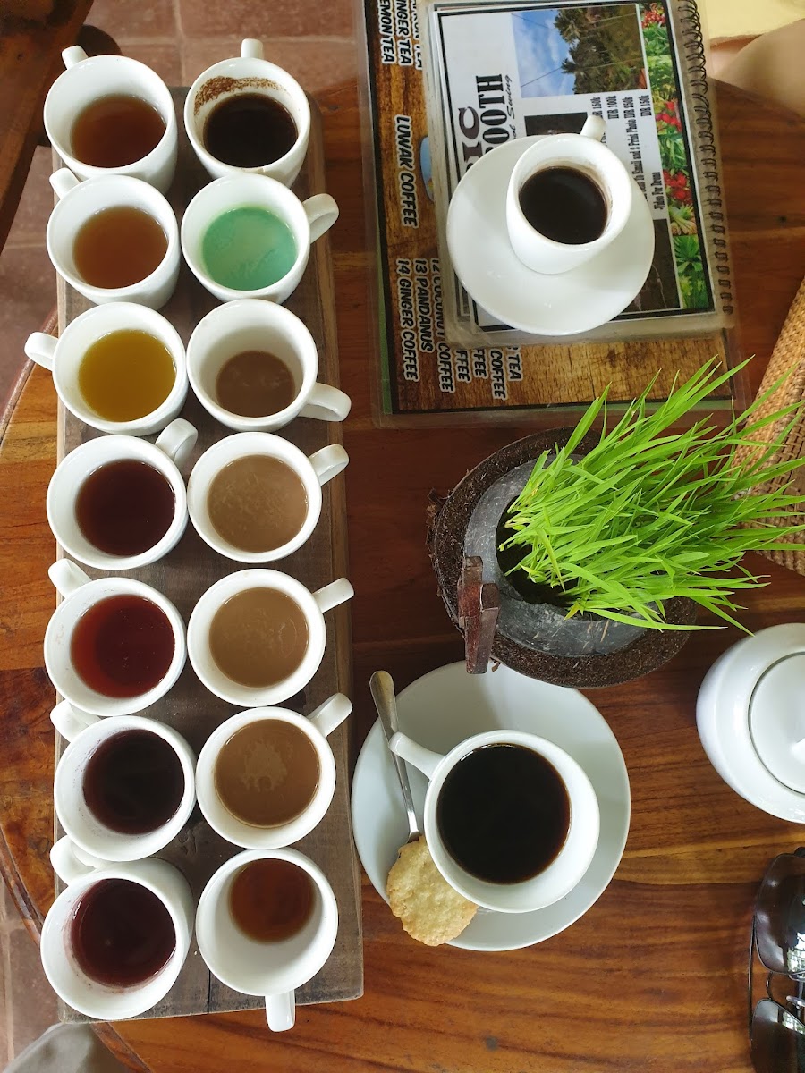 Luwak Coffee Agro Alas Harum Bali - 7