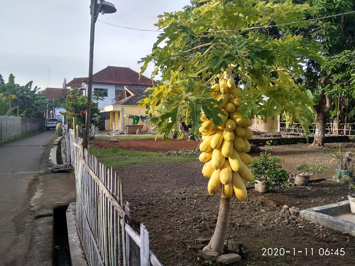 GRAY AREA Internet Cafes - 2