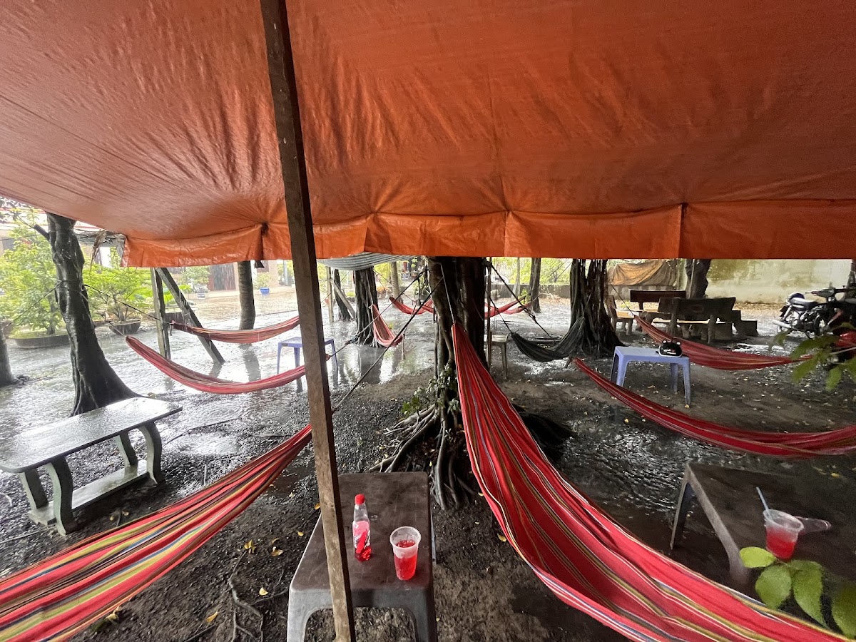 Cafe võng Cây Xanh