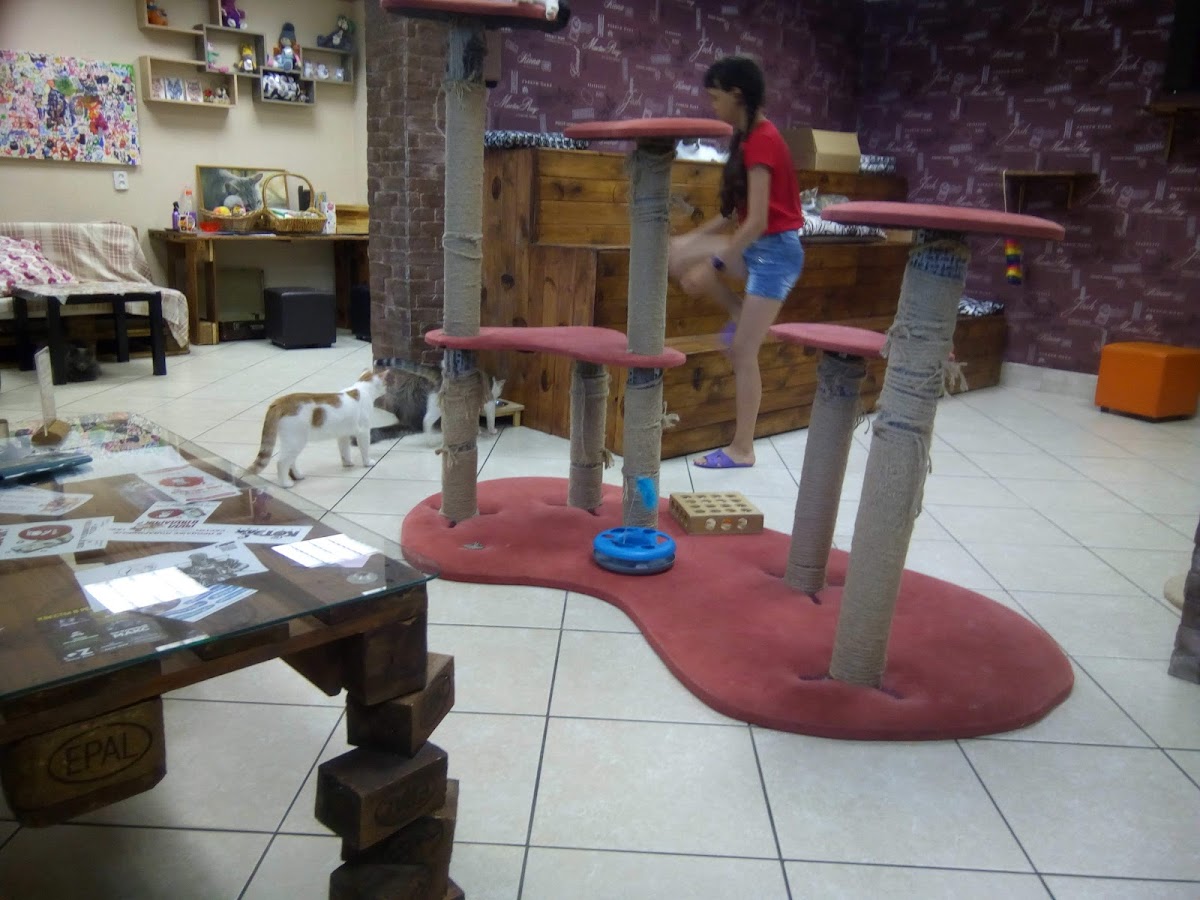 Kotokafe 'Kotedzh' - 4