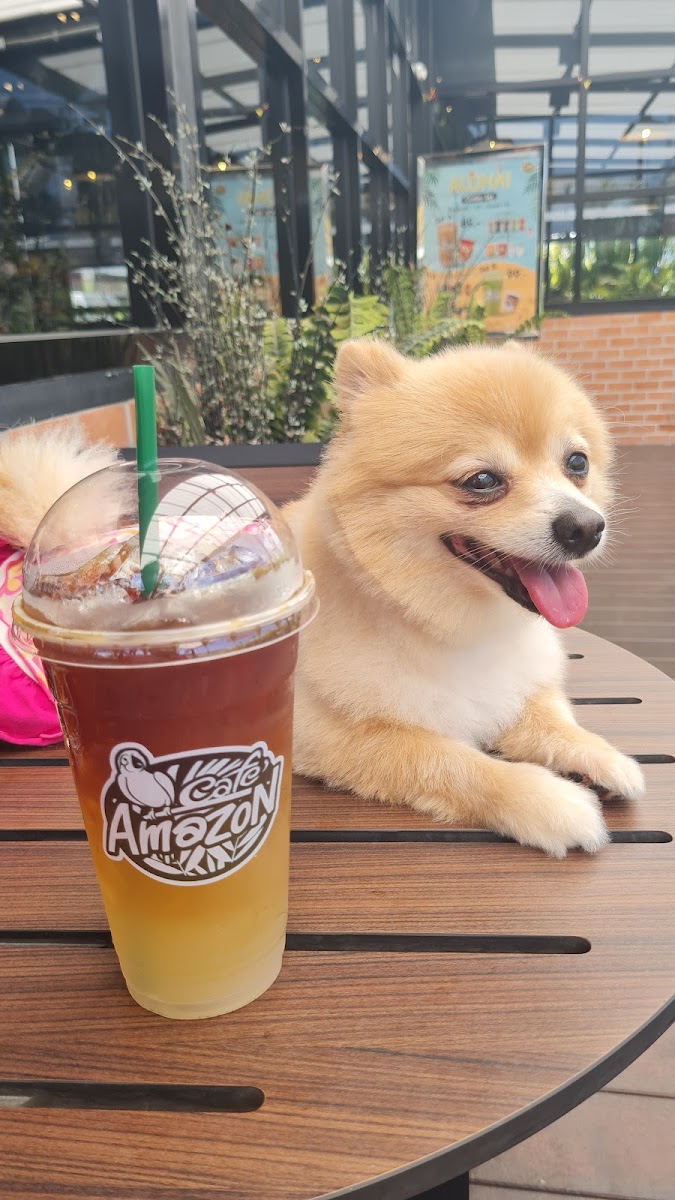 Café Amazon SD3071 สาขาตลาดนัดเรือบิน - 8