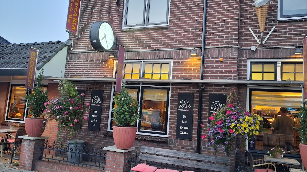 AnyTyme de Roode Vos