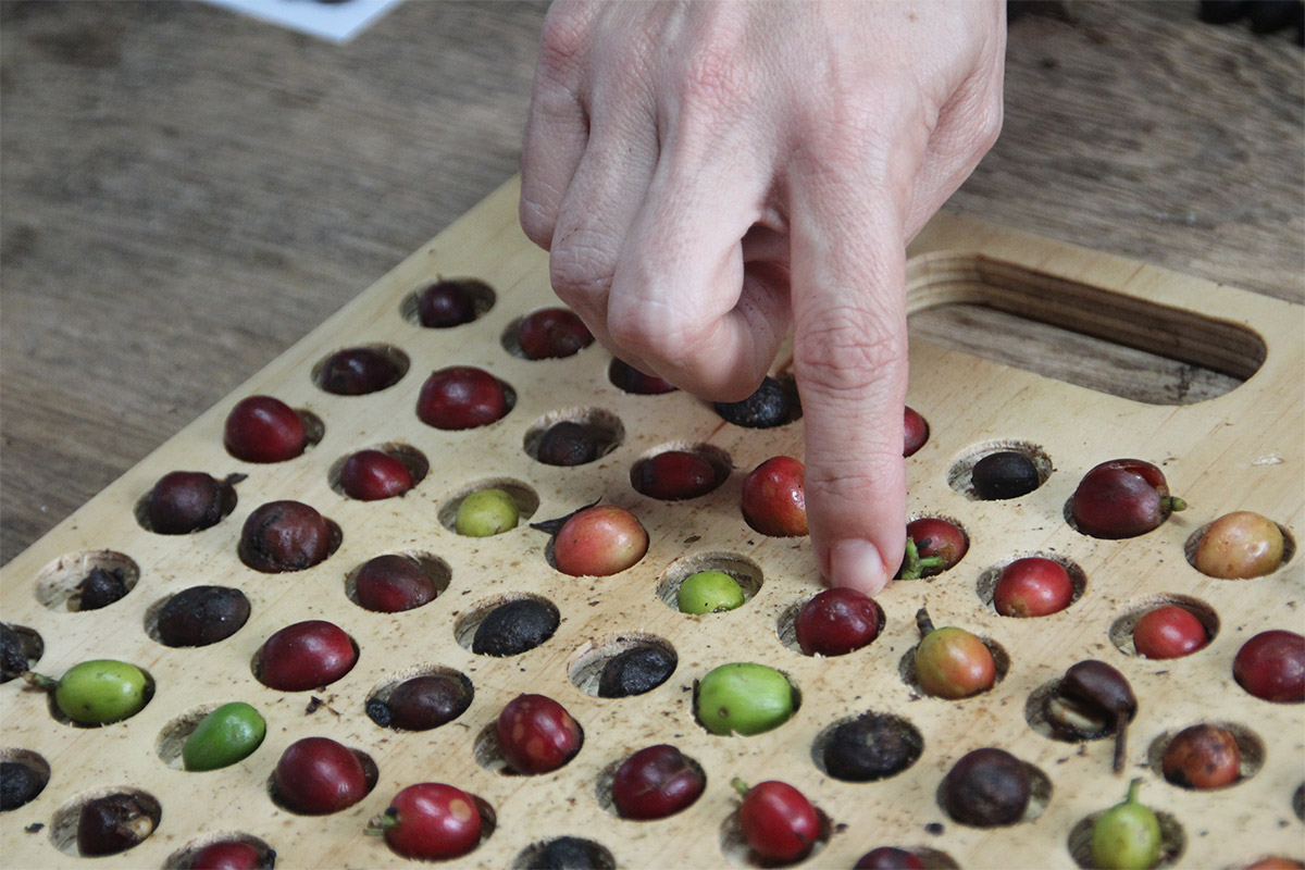 marseille café - مارسيليا - 5