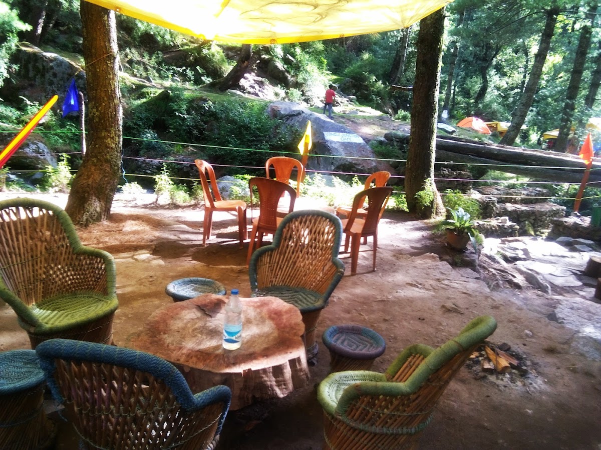 Jungle Junction Cafe