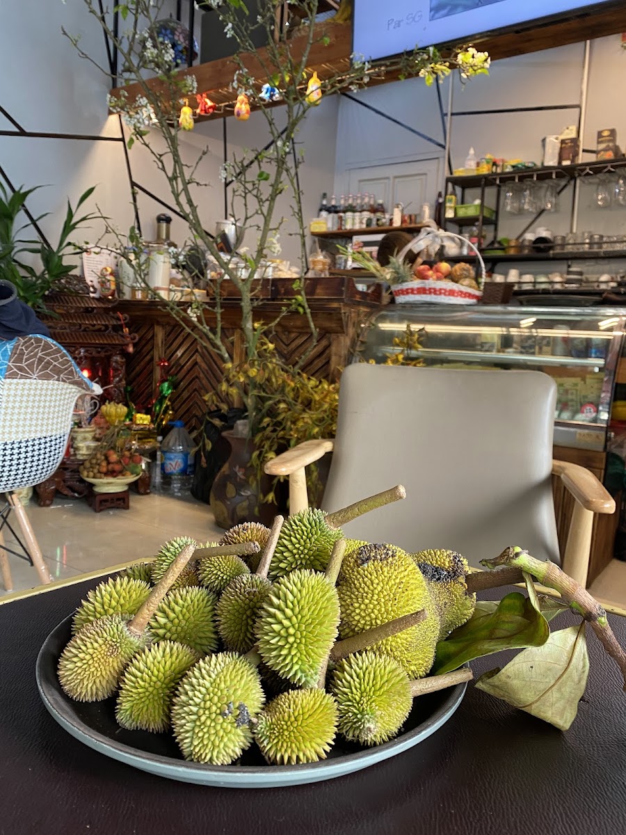 Trang Cafe Sầu Bá Đạo - 8