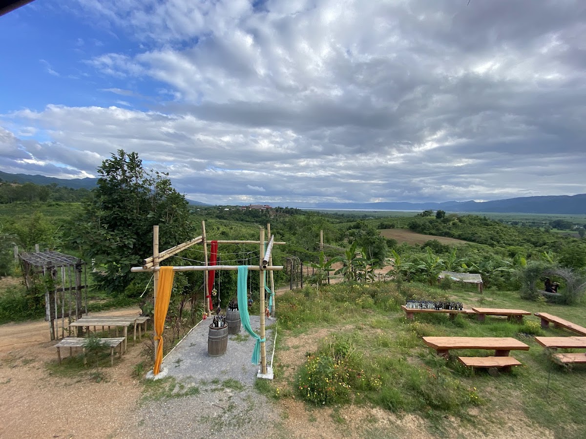 Coffee House and Wine Garden - 4