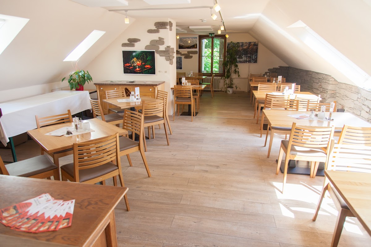 Vulkanbacker Haas - Cafe Baumhaus