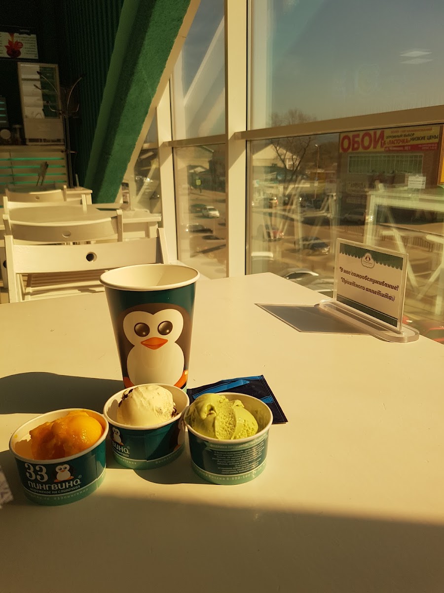 Company '33 penguin' Vladivostok - 2