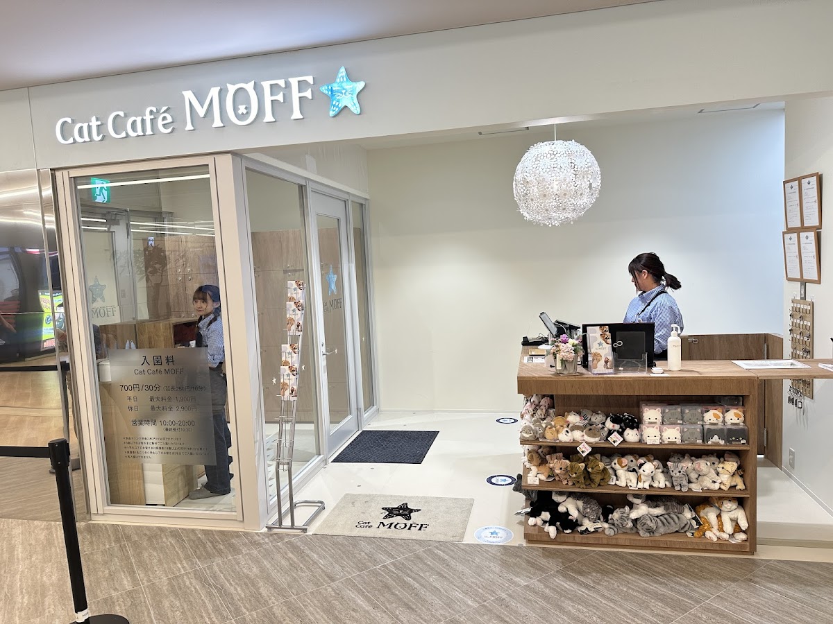 Cat Cafe MOFF HIRAKATA MALL