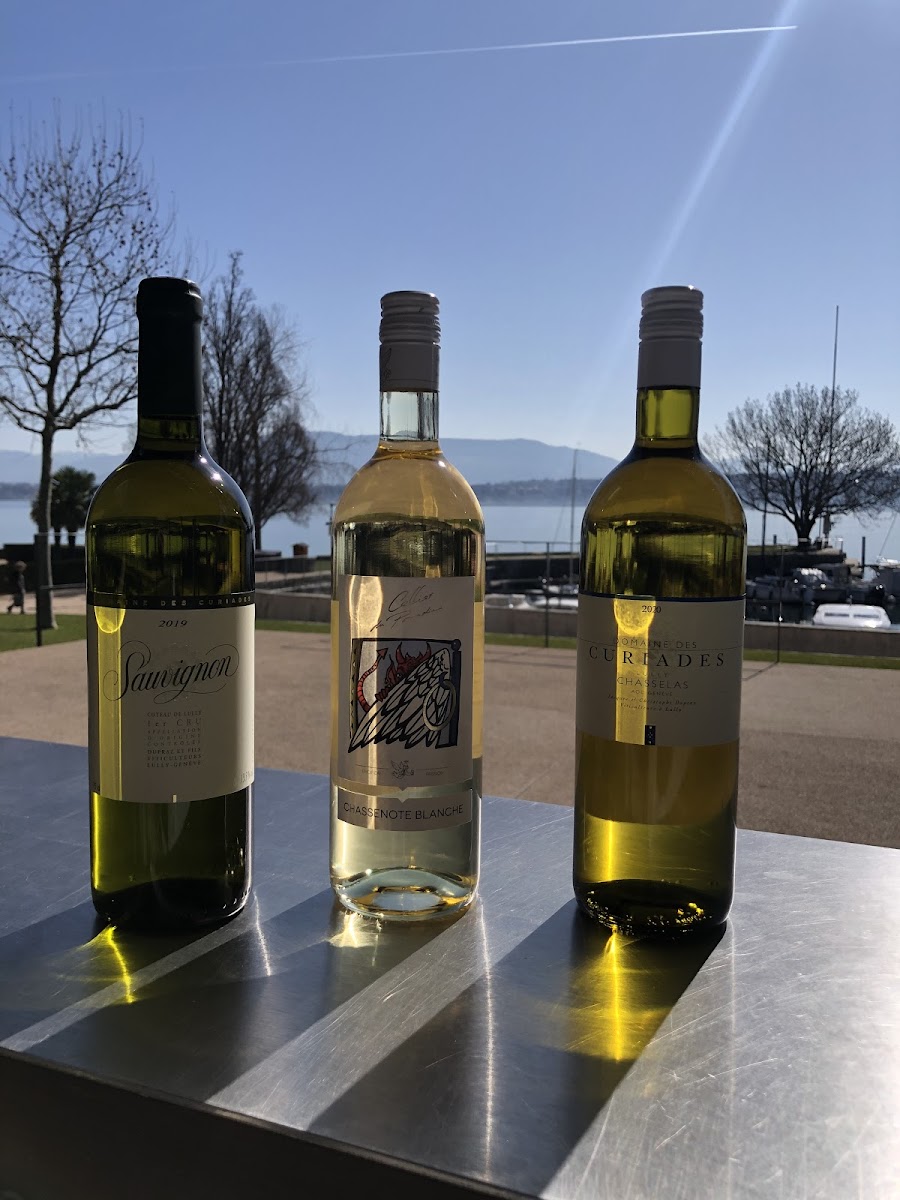 Buvette Port Gitana - 9