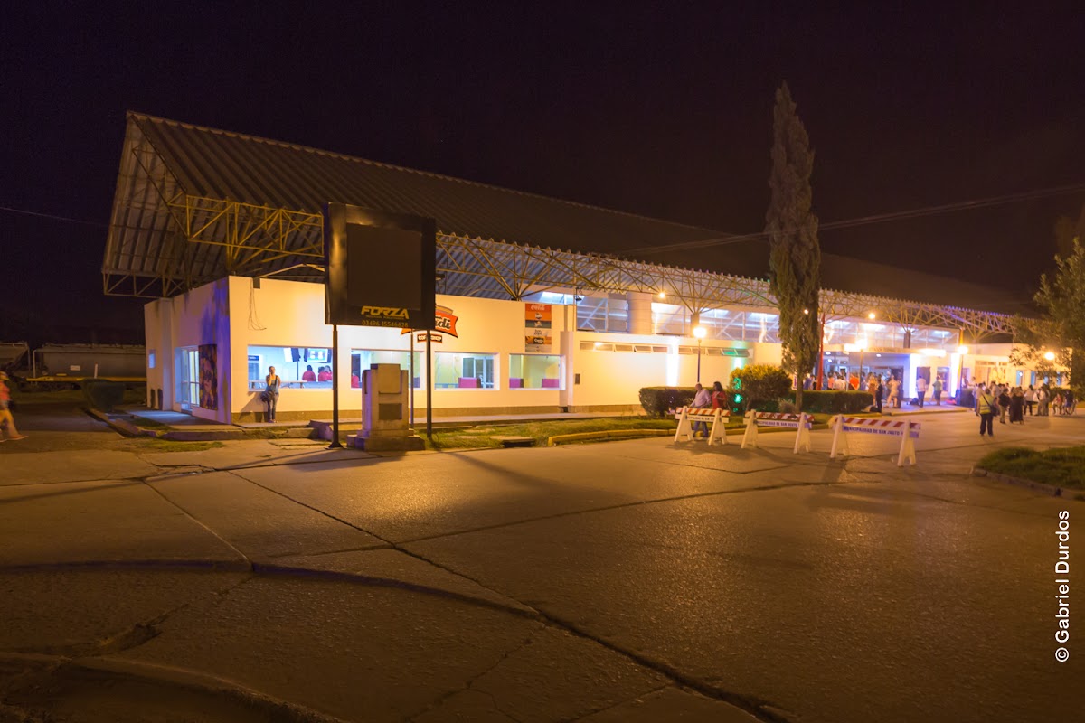 Ultimo Bondi Cofee Shop - 3