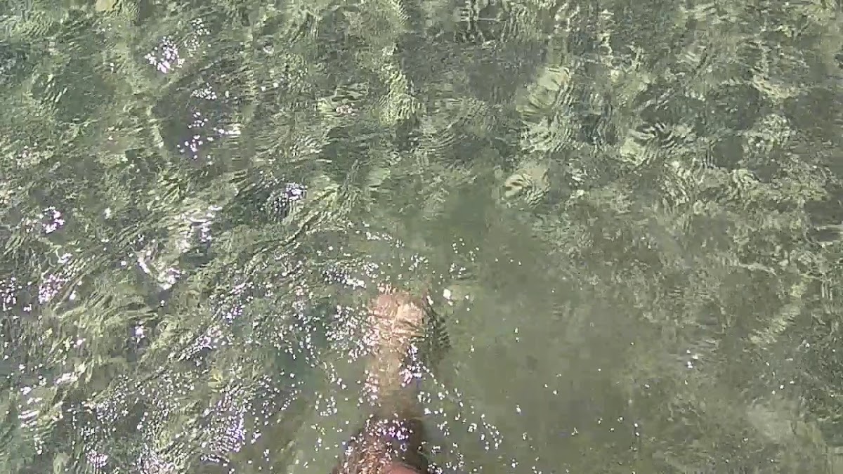 Kotsinas Beach Bar - 2