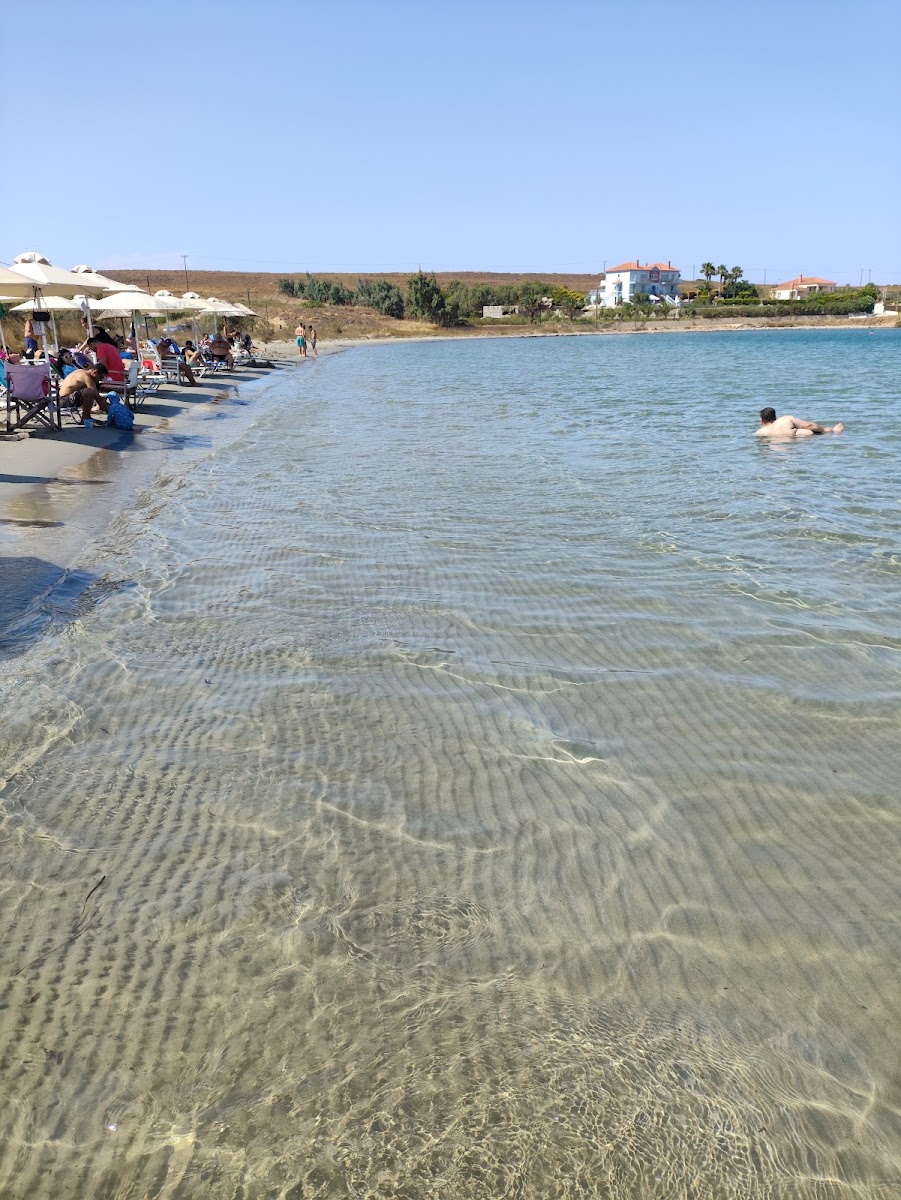 Kotsinas Beach Bar - 4