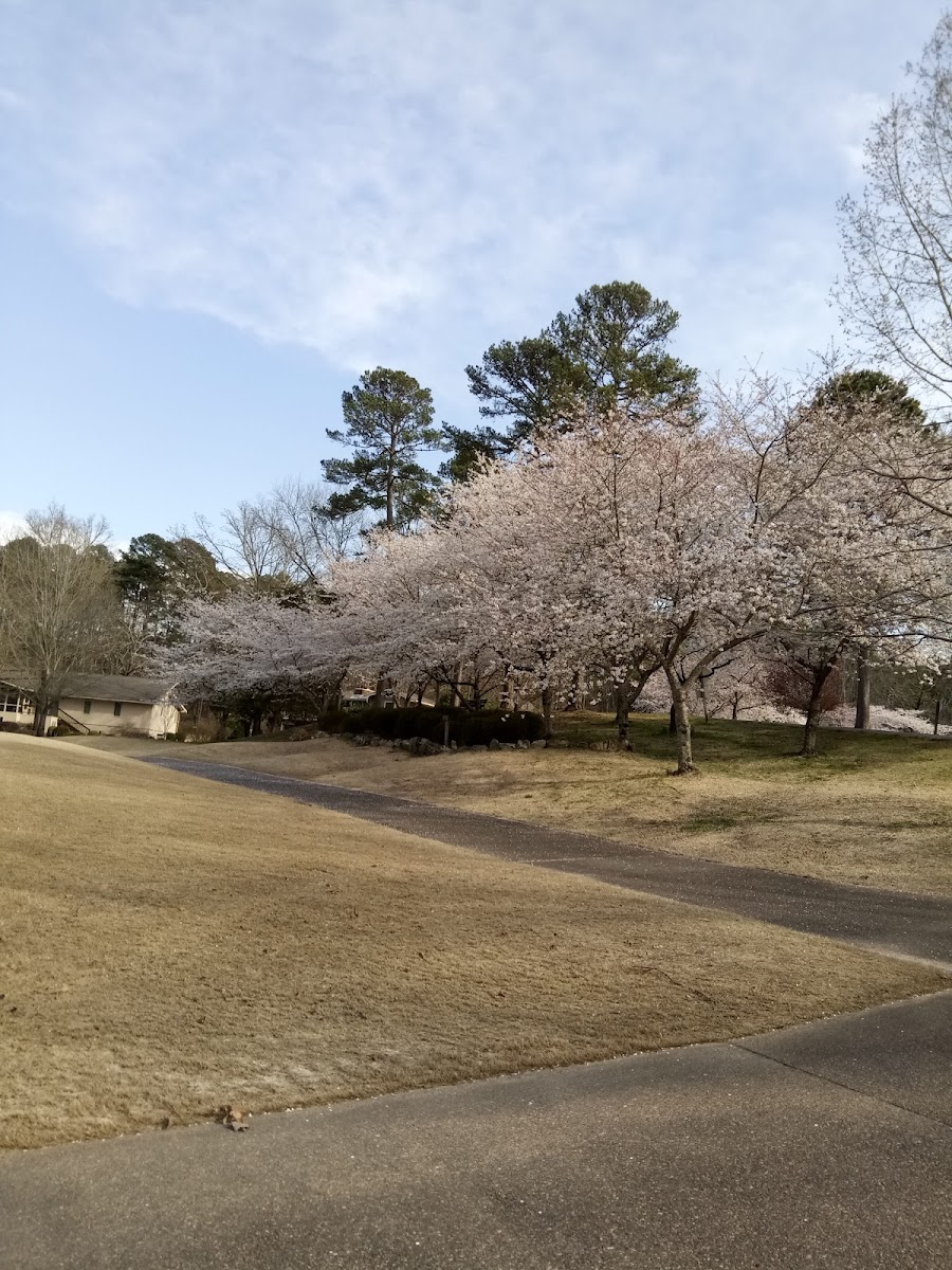 On The Road Coffee Co. - 2