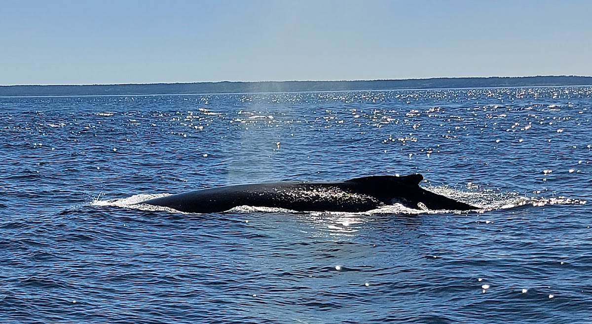 Petit Passage Café - 4