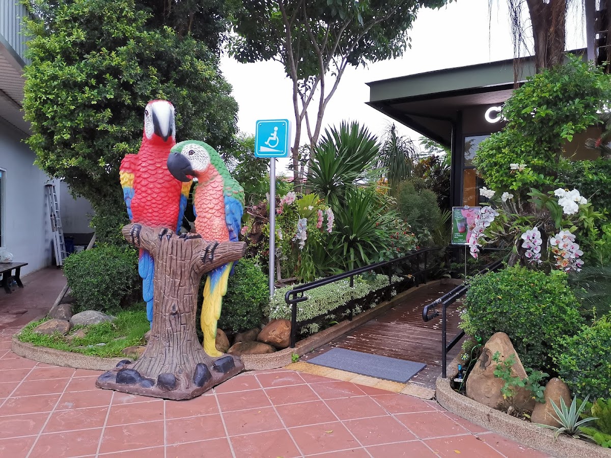 Café Amazon Chamkar Doung - 4