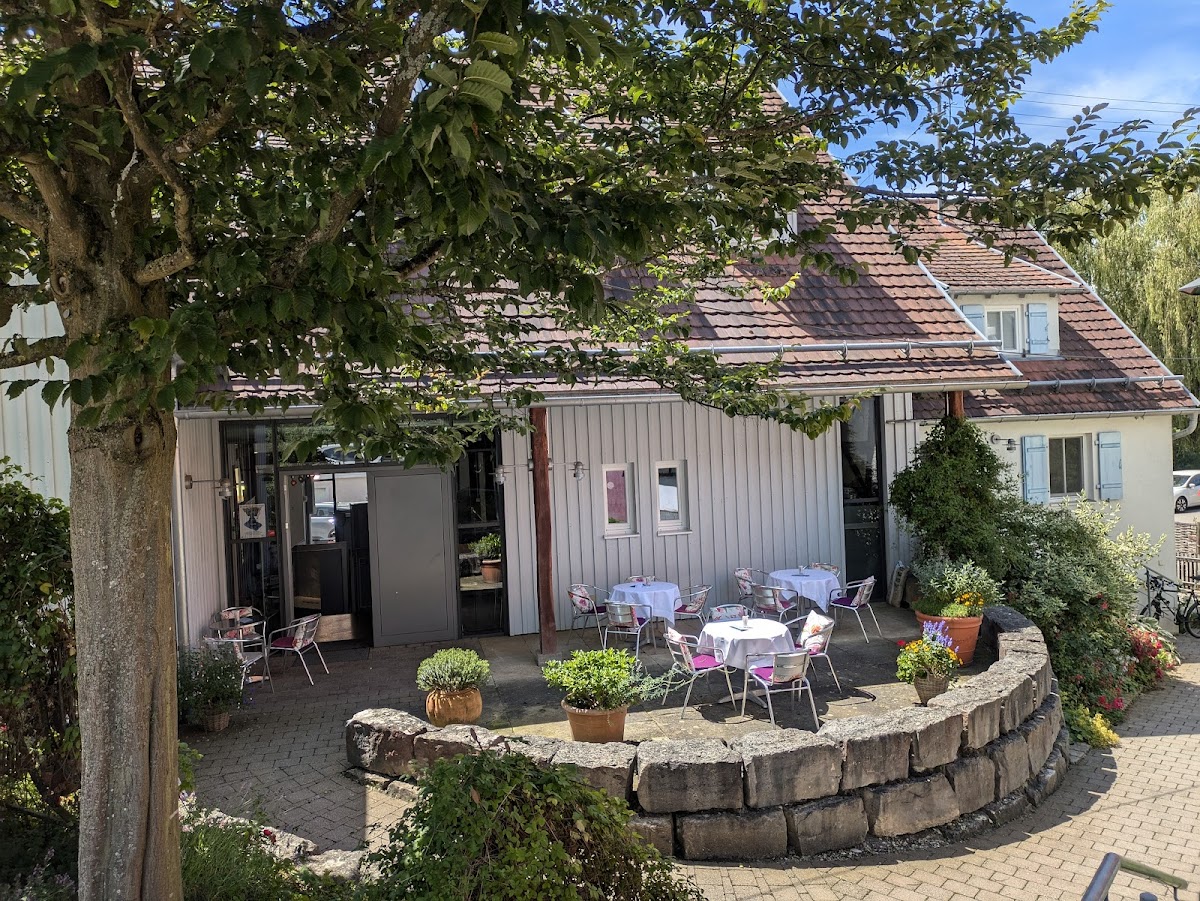 Kultur-Café Chamäleon - 3