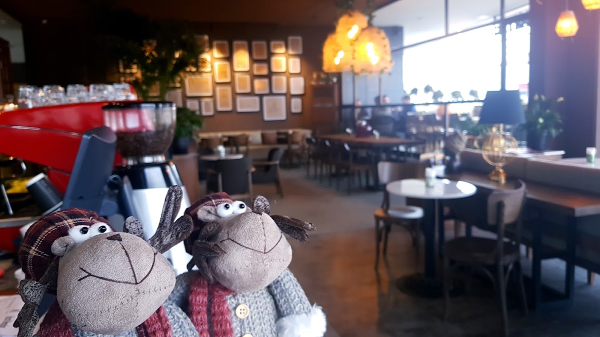 The Middle Coffee Vardallar Center