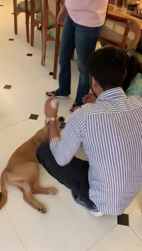 Bella Cucina a cafe by The Lavish Stay - 7