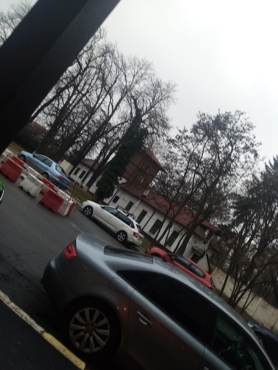 Reverse Cafe Stirbey - 4