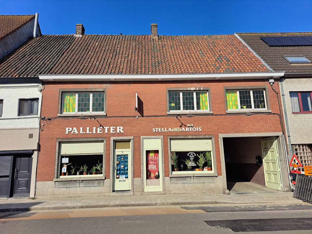 Pallieter