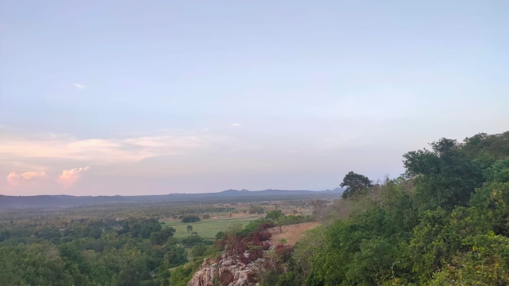 Krishna Tea & Snacks