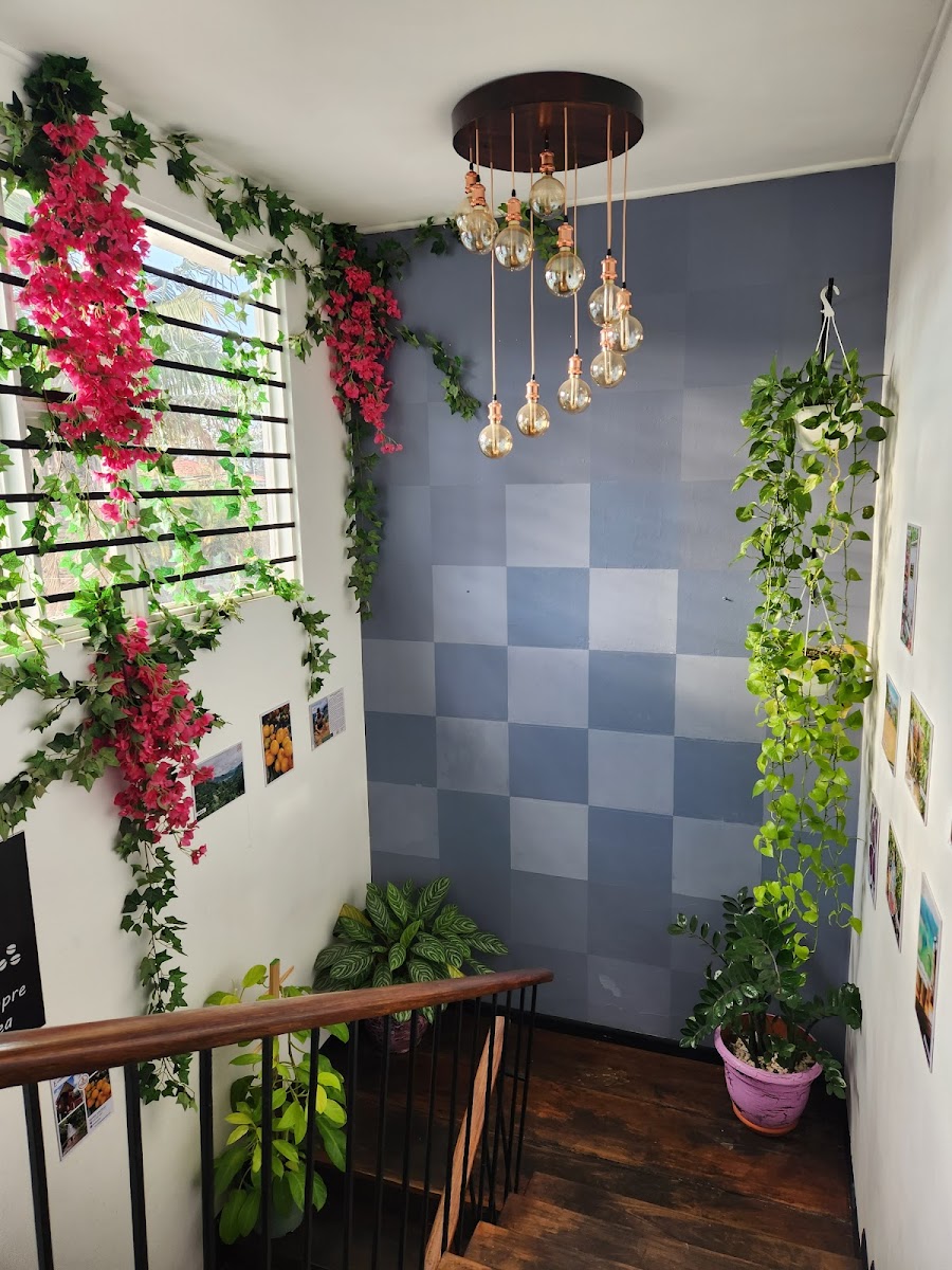 Cafe Bistro Ketzali OFICIAL - 4