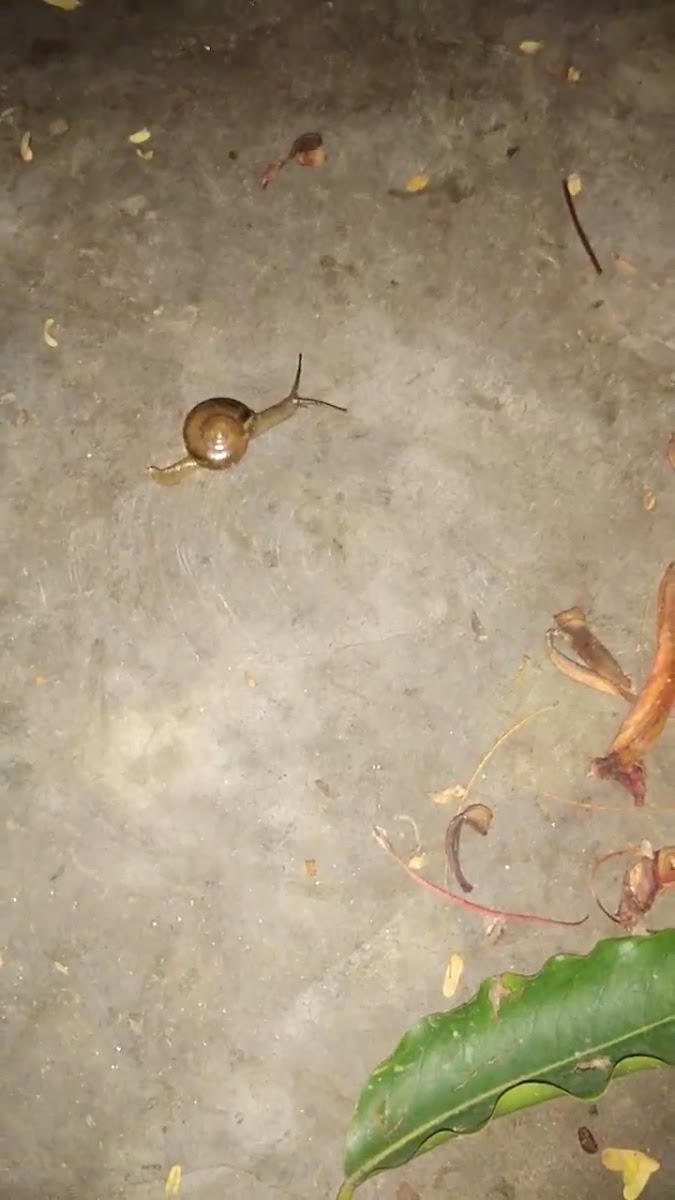 Priyanshu Cyber Cafe