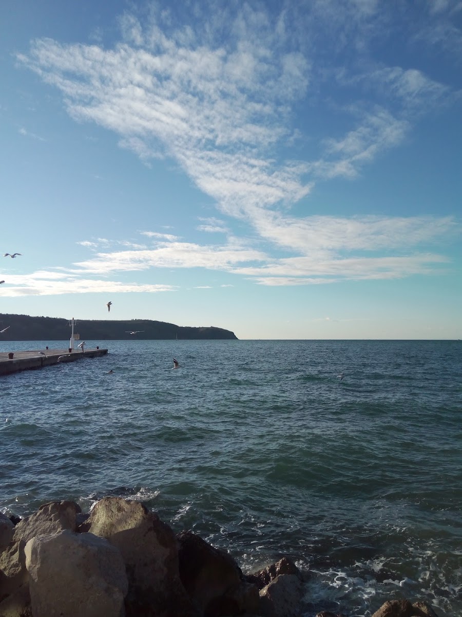 Slaščičarna Diana - 4