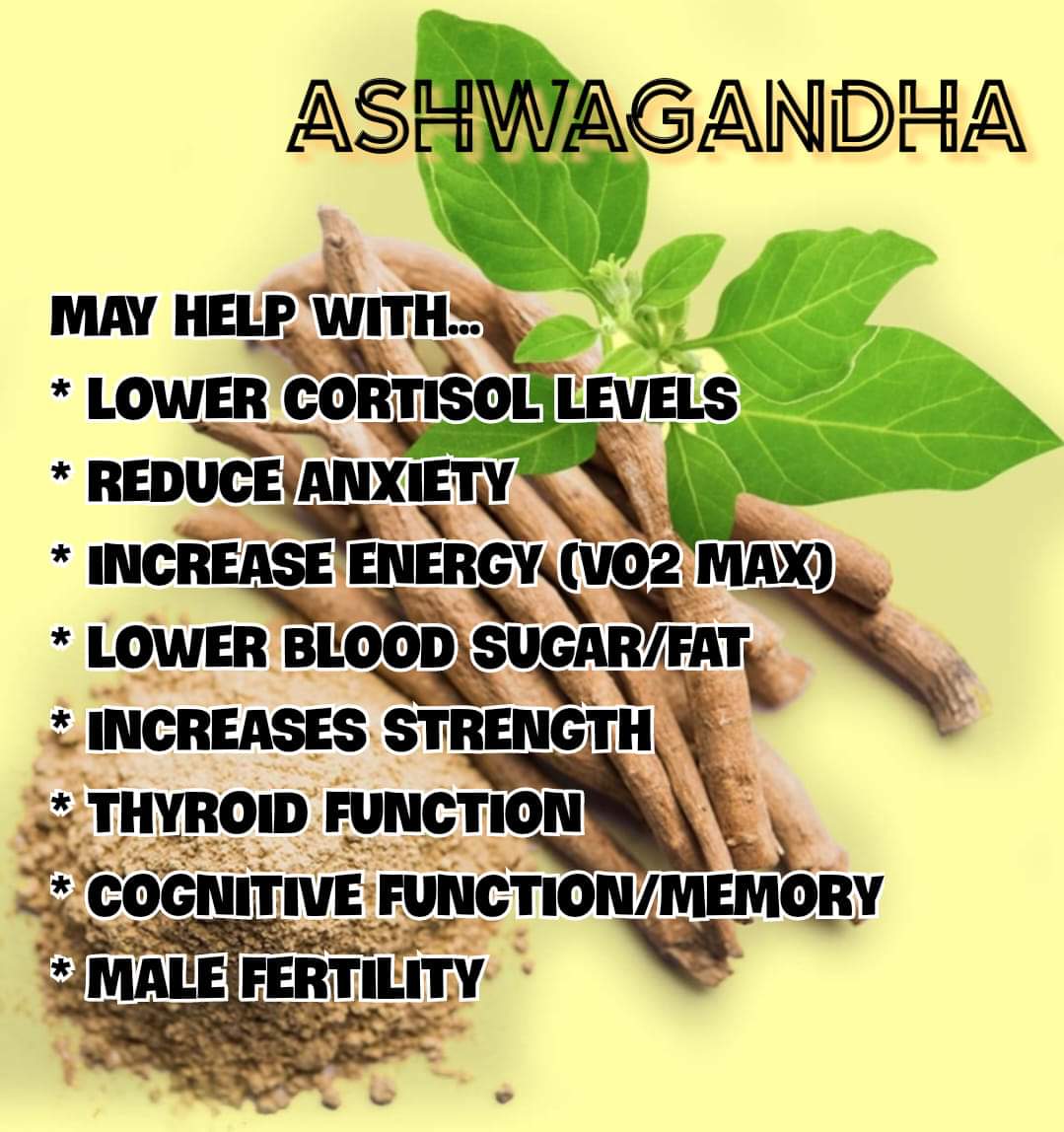 Santih Holistics - 5