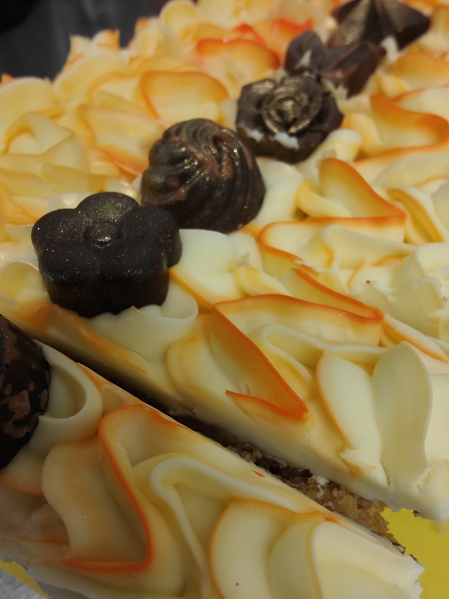 Santih Holistics - 4