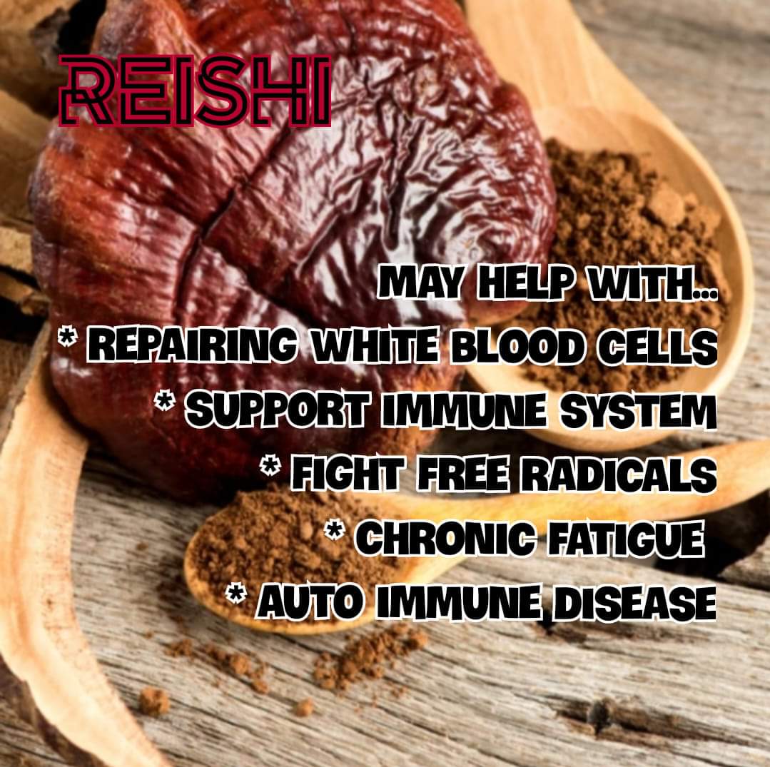 Santih Holistics - 9