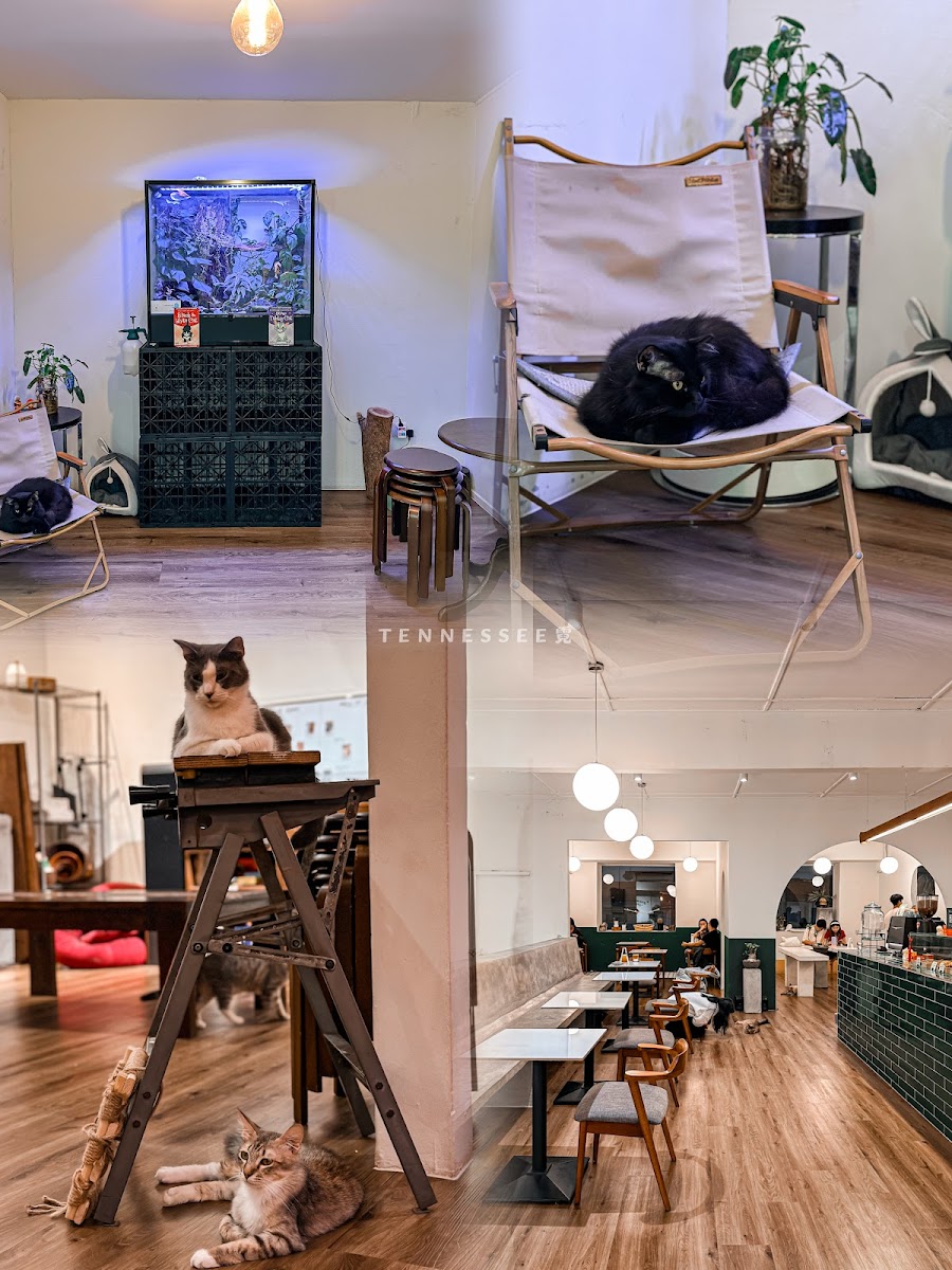 Spring Spring Cafe - 3