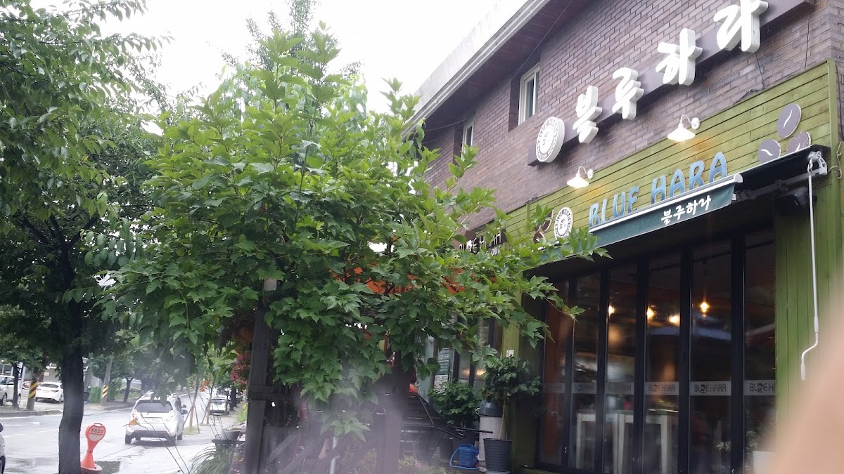 블루하라 BLUEHARA - 3