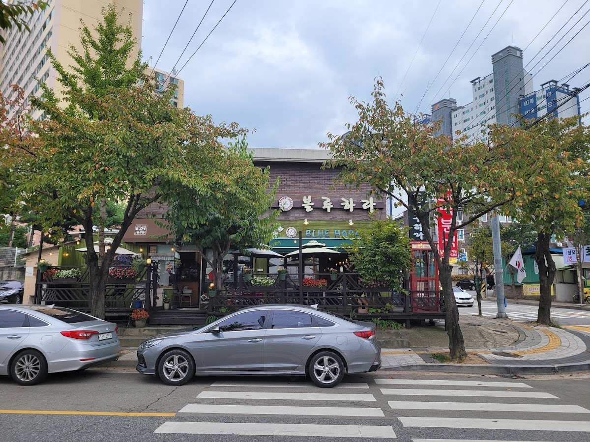 블루하라 BLUEHARA - 4