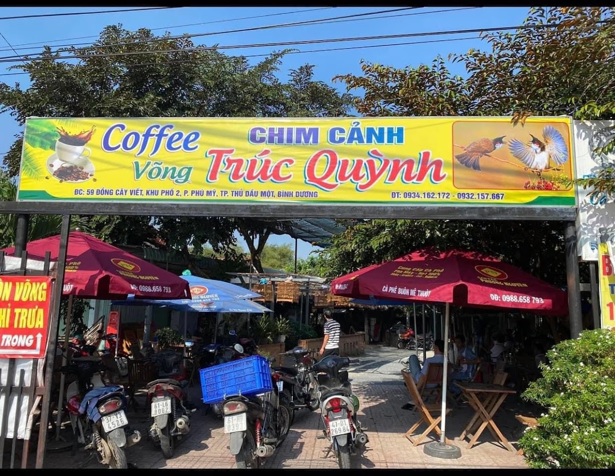 Cafe trúc quỳnh