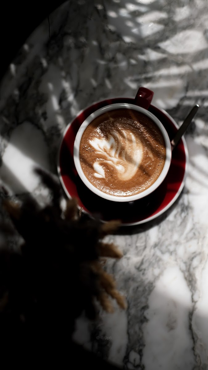 Typica Cafe Abu Dhabi - 8