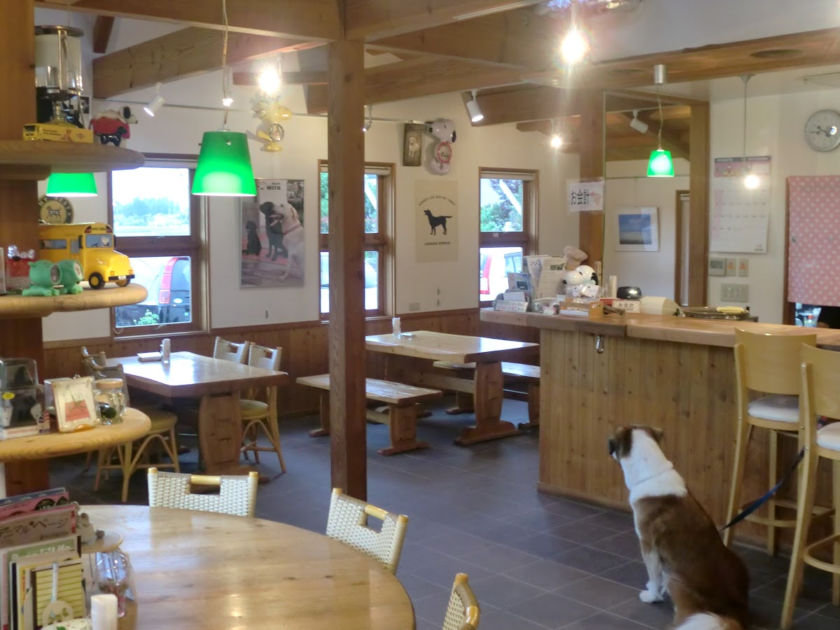 With Dog Cafe