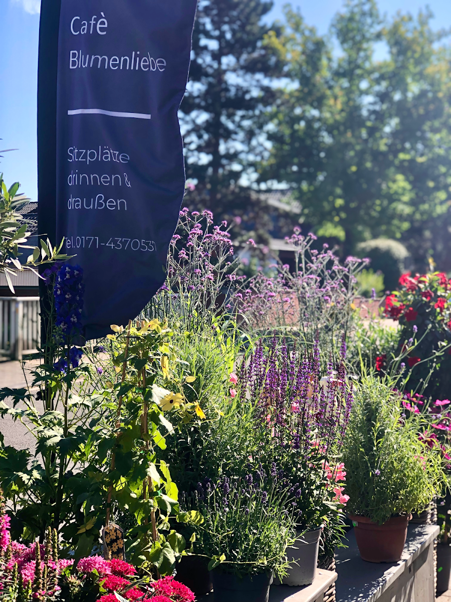 Café Blumenliebe - 4